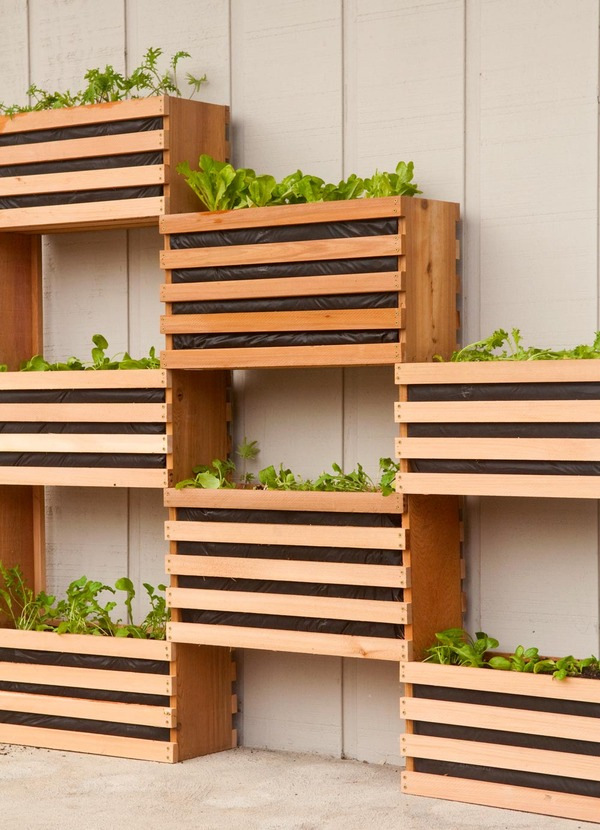 Vertical Vegetable Garden