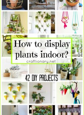 How to display plants indoor? (42 DIY Projects)