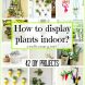 How to display plants indoor? (42 DIY Projects)