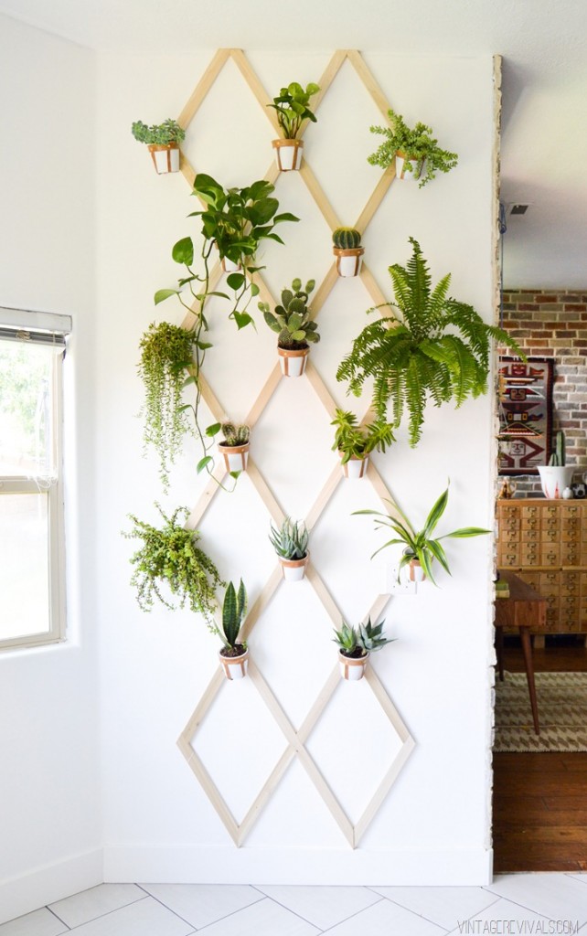 vertical plant walls - trellis wall