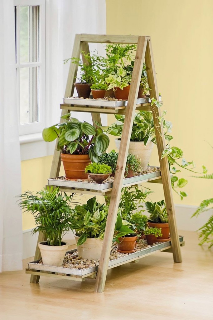 Stand indoor plant display