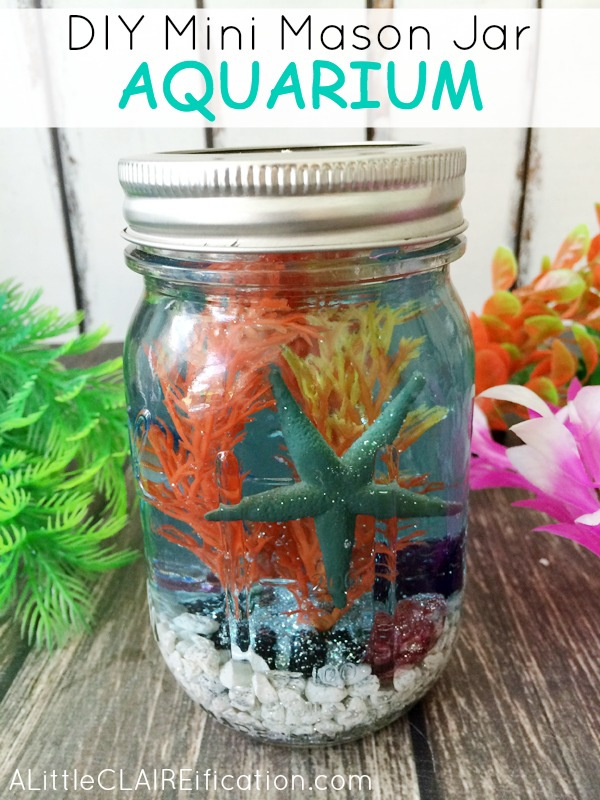 Mini Mason  Jar Aquarium