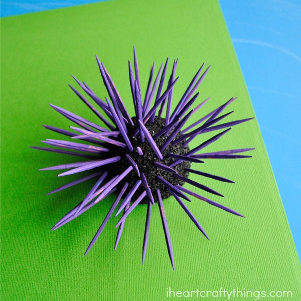 sea urchin craft