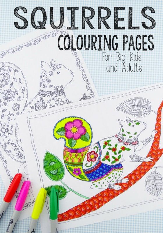 squirrel-coloring-pages