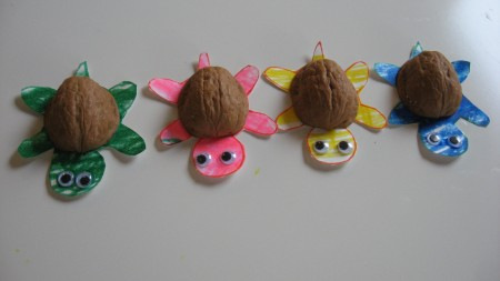 walnut turtles