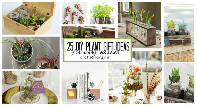 DIY plant gift ideas at craftionary.net