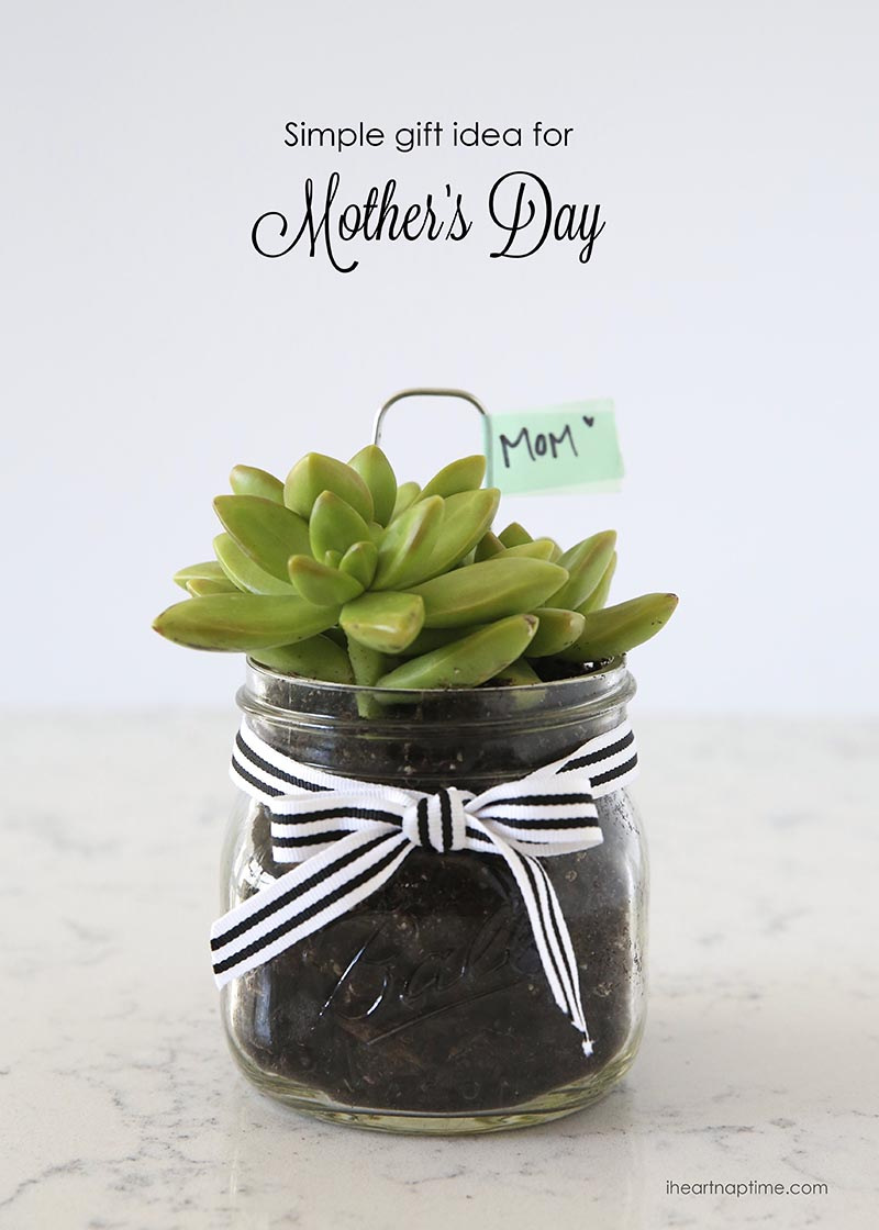 Simple-gift-idea-for-Mothers-Day-diy-plant-gift-ideas