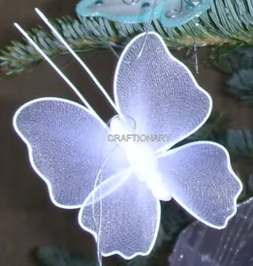 beautiful-stocking-net-butterfly