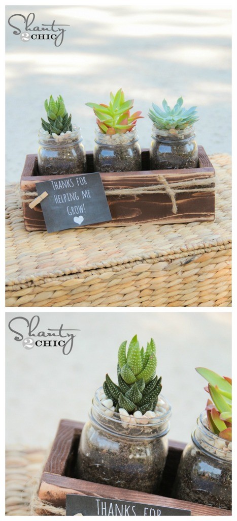 DIY plant gift ideas mason jar planter