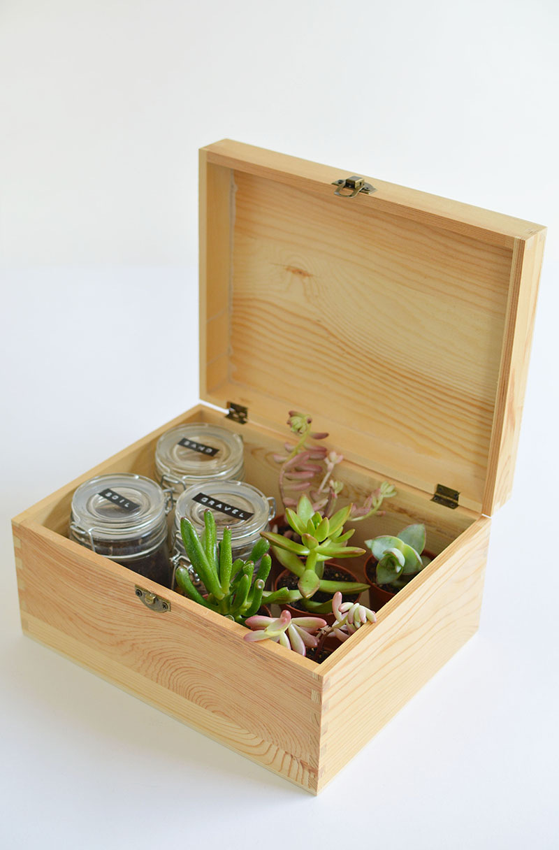 diy-succulent-gift-box-diy-plant-gift-ideas