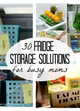 30 Fridge Storage Solutions for busy moms