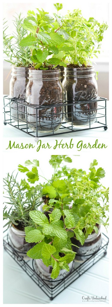 Mason jar herb garden