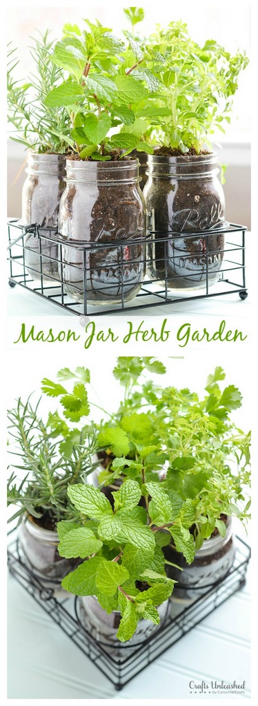 Mason jar herb garden | Free Gardening Party Printables | Mandy's Party Printables