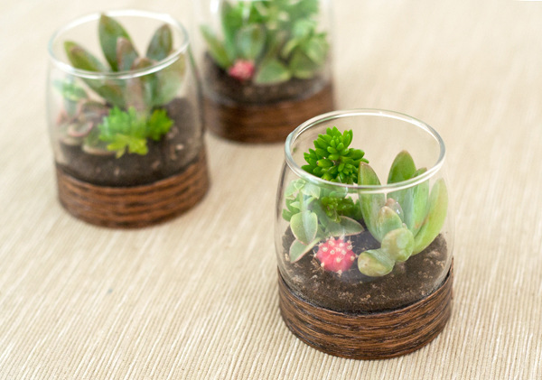 wood-base-terrariums