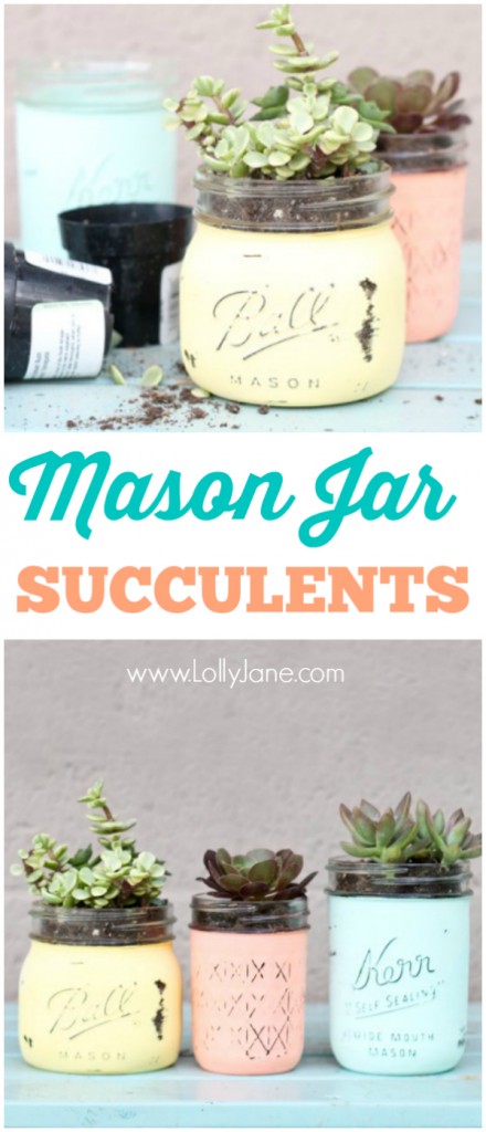 DIY mason jar succulents