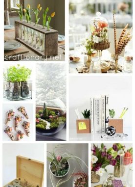 Attractive Plant Gift Ideas that are aesthetically pleasing