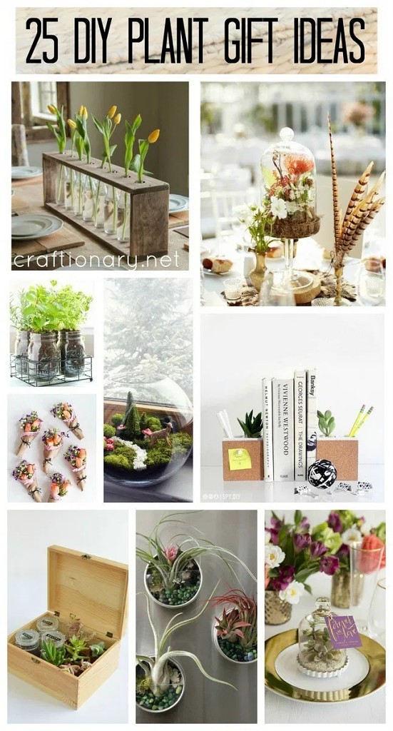 DIY-plant-gift-ideas-for-every-special-ocassion