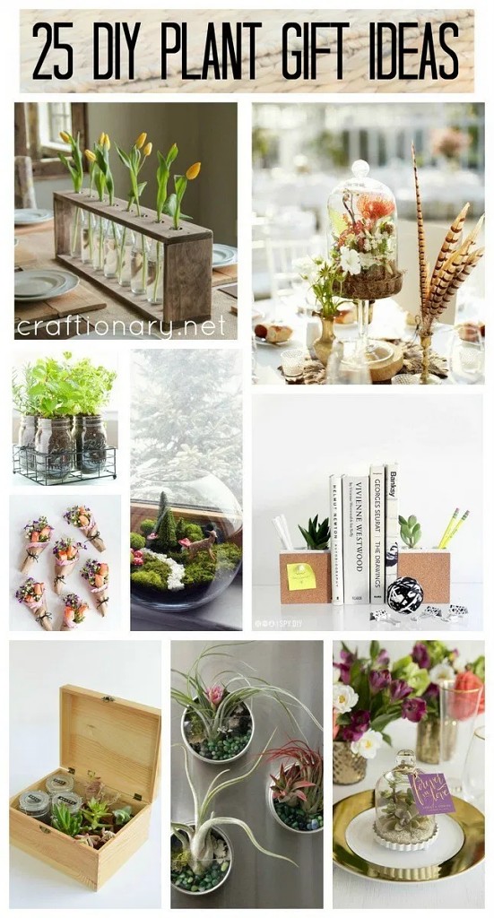 DIY plant gift ideas