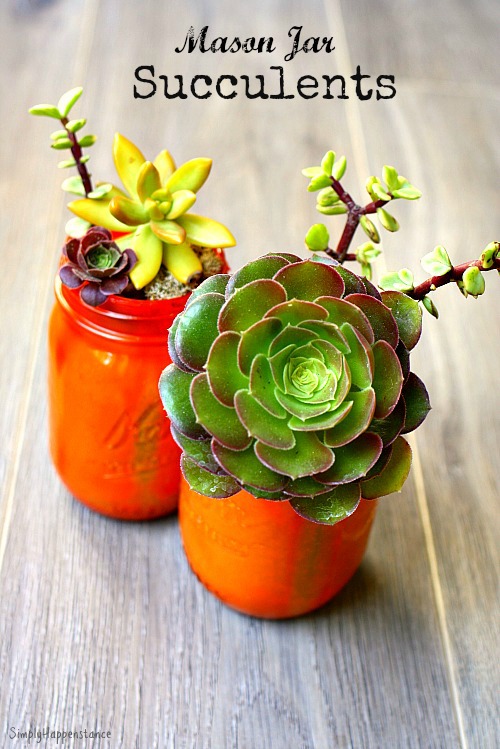 mason jar succulents