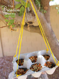 Egg-carton-bird-feeder