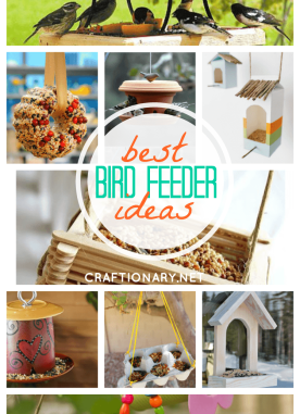 DIY bird feeders best ideas for bird lovers that bring birds