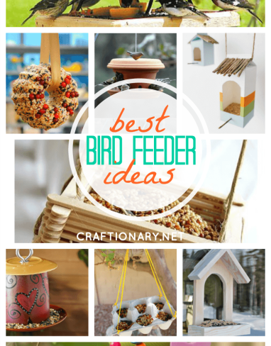 30 Creative DIY Bird Feeders – Ideas for Attracting Birds
