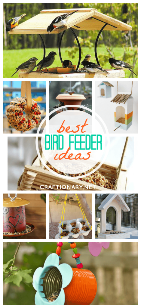 DIY bird feeders best ideas