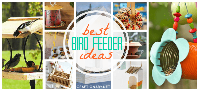 DIY bird feeders best ideas tutorials