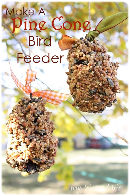 pine cone bird feeder