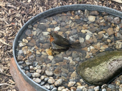 bird bath project