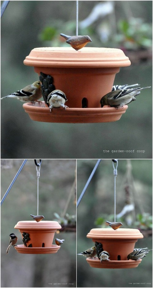 Terra-cotta-birdfeeder