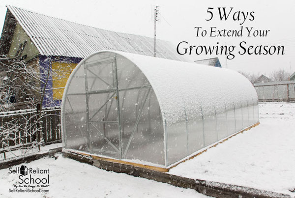 ways-to-extend-your-growing-season