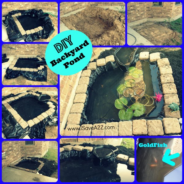 DIY backyard pond