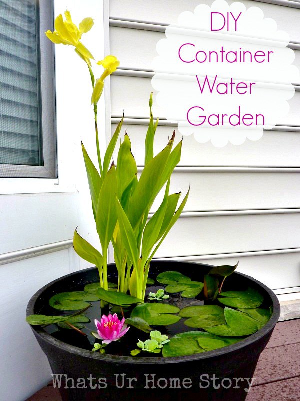 DIY water garden ideas DIY water gardens