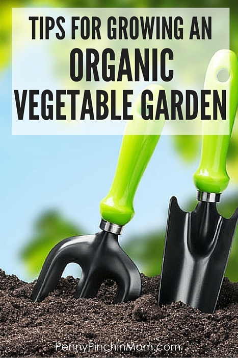 Tips for growing an organic vegetable garden
