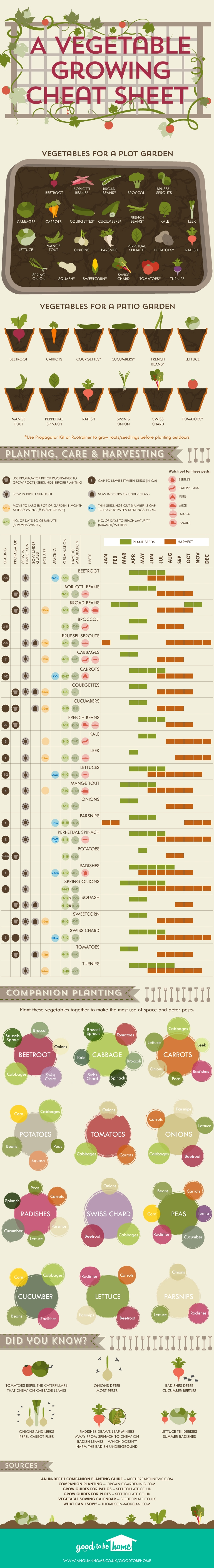 Vegetable growing cheat sheet