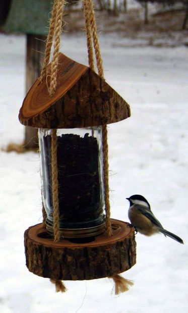 bird-feeder-from-a-tree-stump