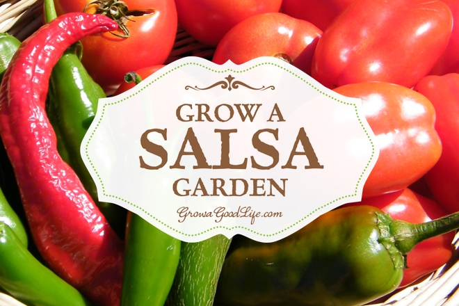 grow a salsa garden