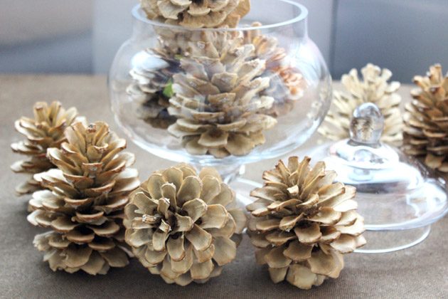 how to bleach pinecones