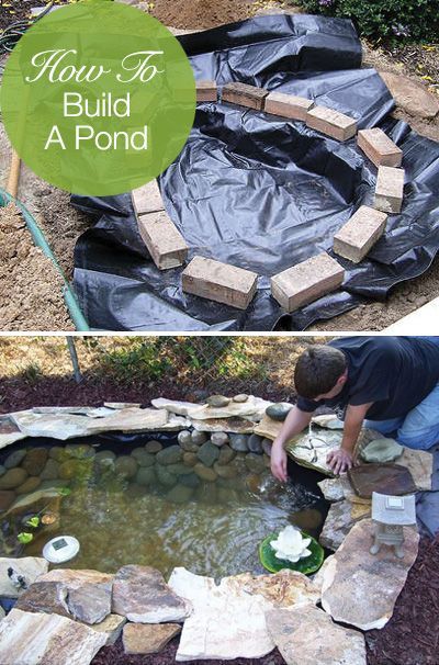 How to build a pond DIY water gardens
