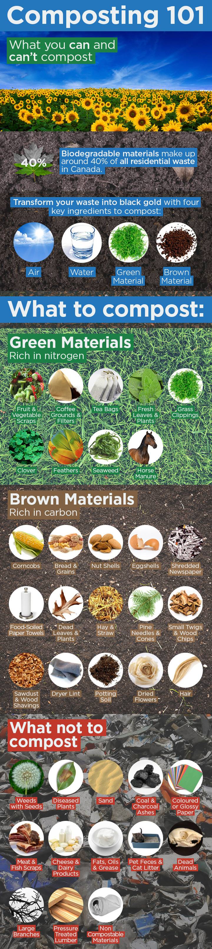 composting 101 infographic