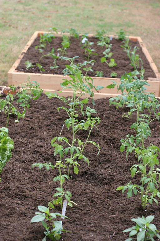 irrigation-system-for-raised-bed-gardening