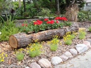 tree-diy-wooden-log-planter