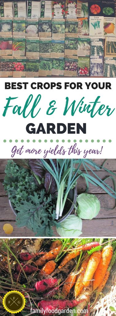 how-to-plant-your-fall-and-winter-garden