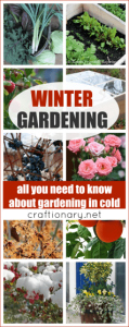 Winter gardening