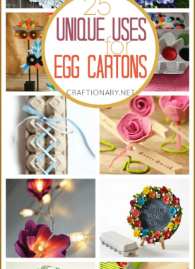 25 Best egg carton crafts and uses that are new and unique