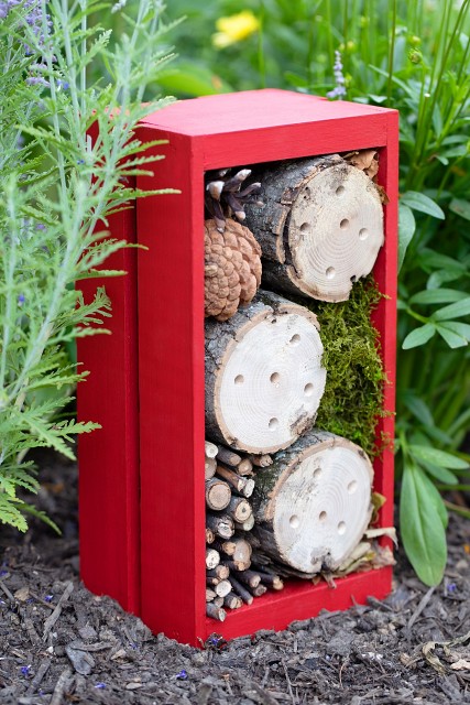 Bug-Hotel-with-images-instructions