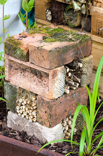 Bug-hotel-made-from-bricks-and-bamboo