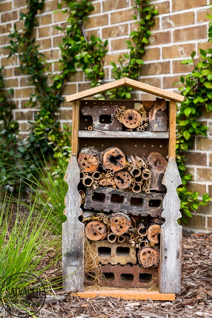 DIY-bug-house-scrap-wood-project