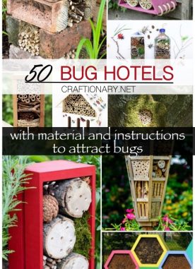 50 DIY bug hotels | material and instructions to attract bugs